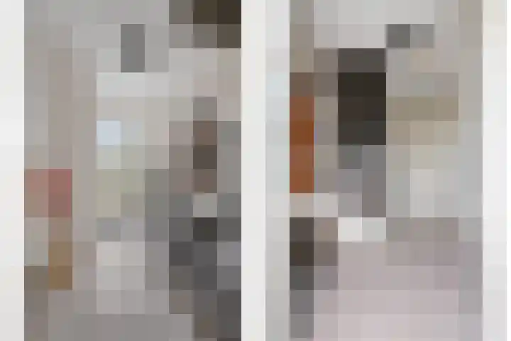 Dagpauwoog 73 Someren thumbnail 5