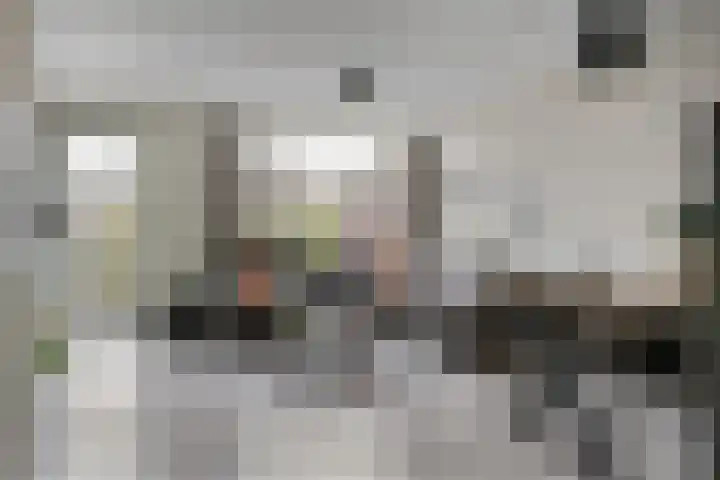 Dagpauwoog 73 Someren thumbnail 7