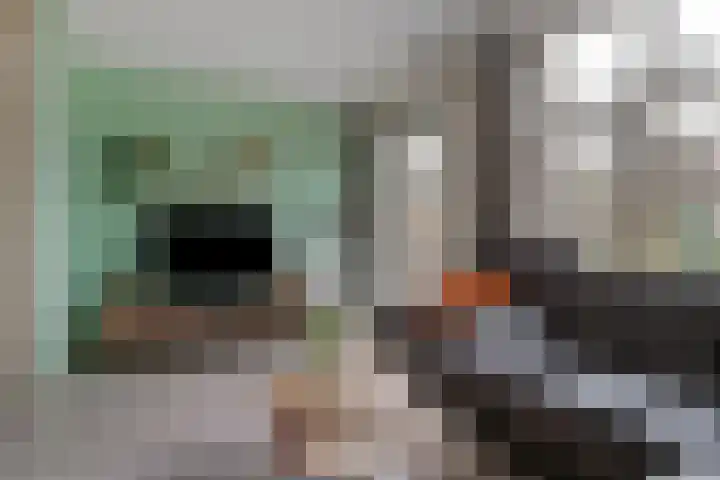Dagpauwoog 73 Someren thumbnail 8