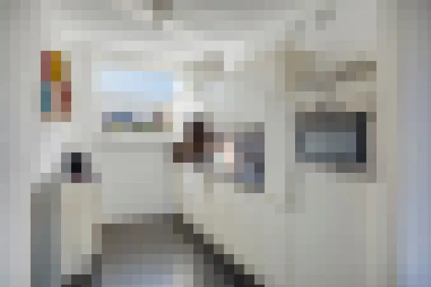 Dagpauwoog 77 Someren thumbnail 12