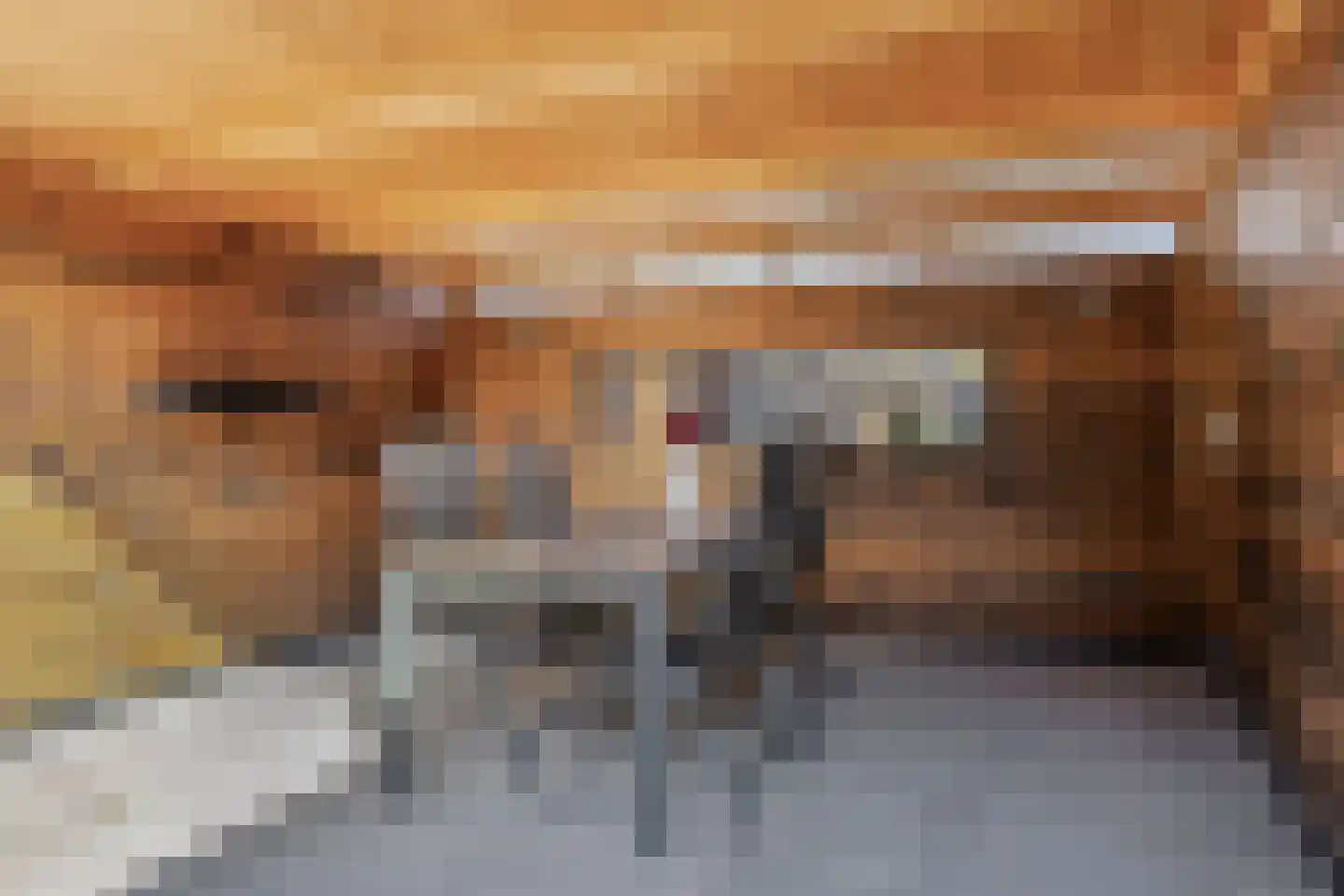Dagpauwoog 77 Someren thumbnail 24