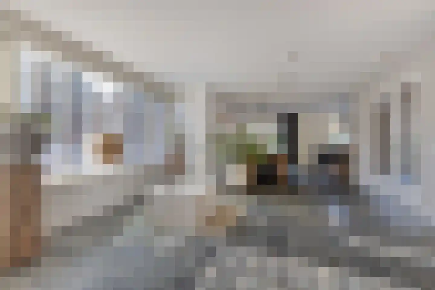 Dagpauwoog 8 Oosterhout thumbnail 13