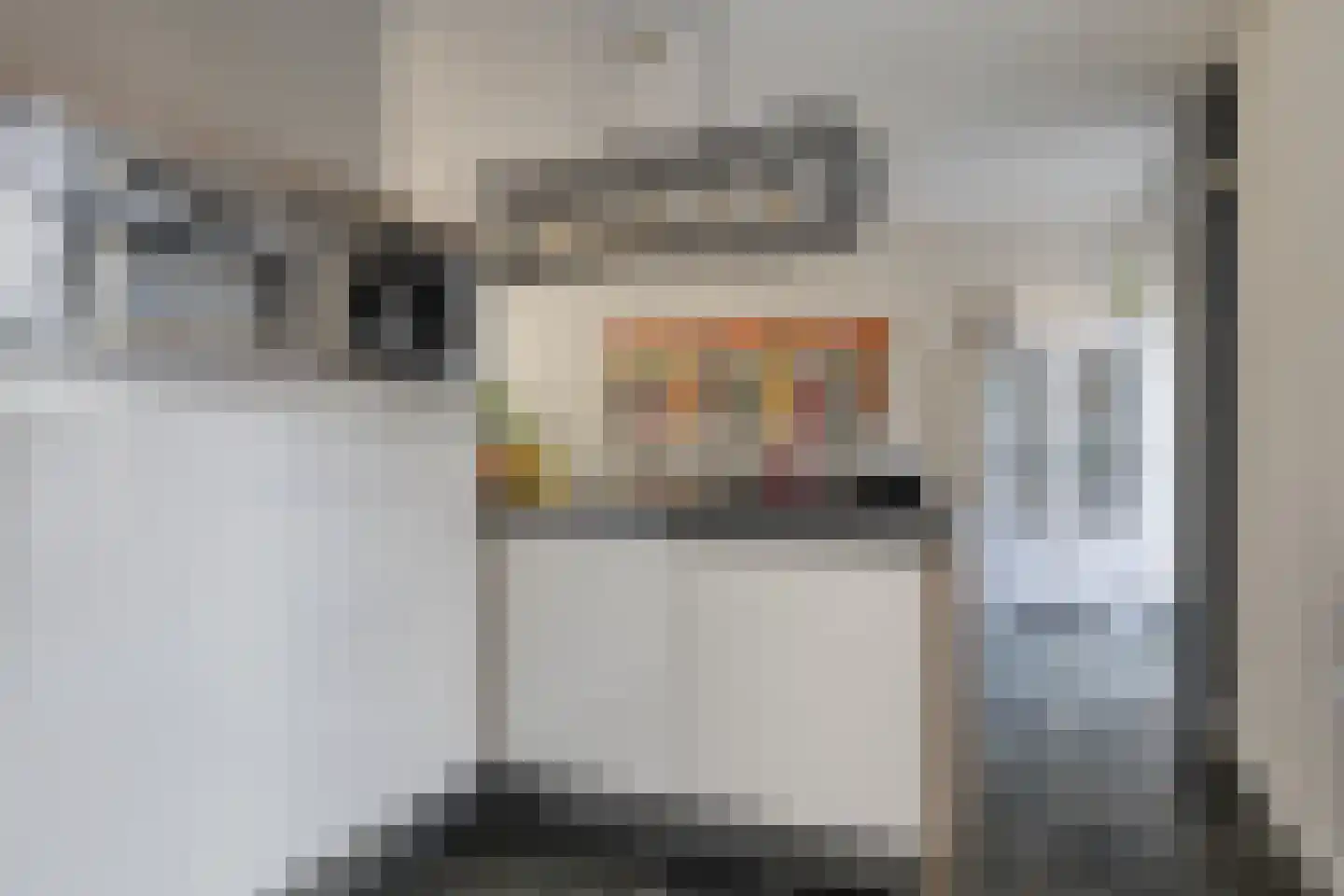 Dagpauwoog 8 Oosterhout thumbnail 15