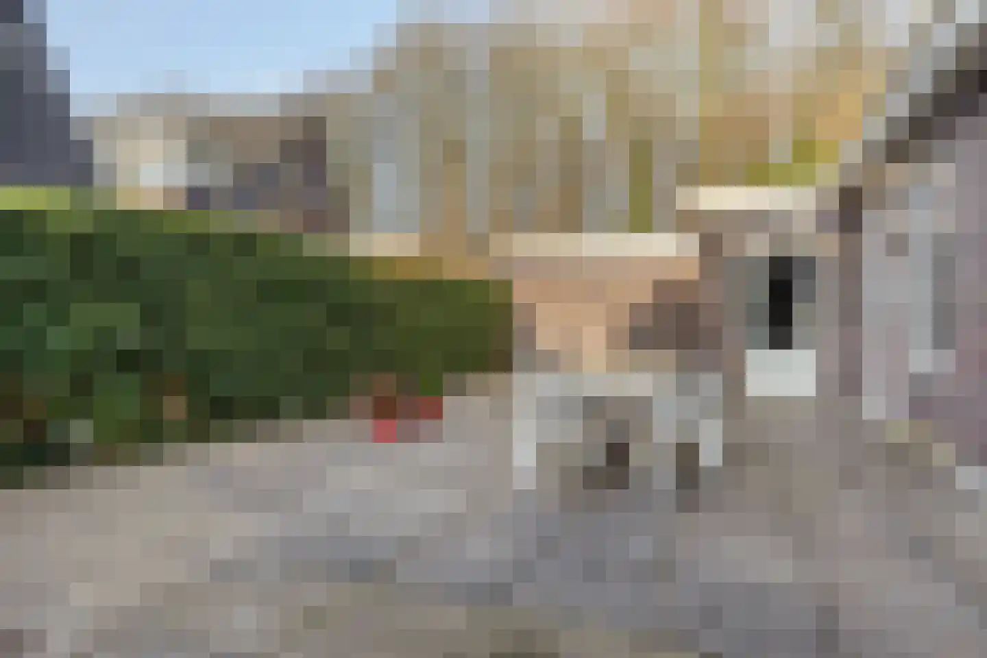 Dagpauwoog 8 Oosterhout thumbnail 17