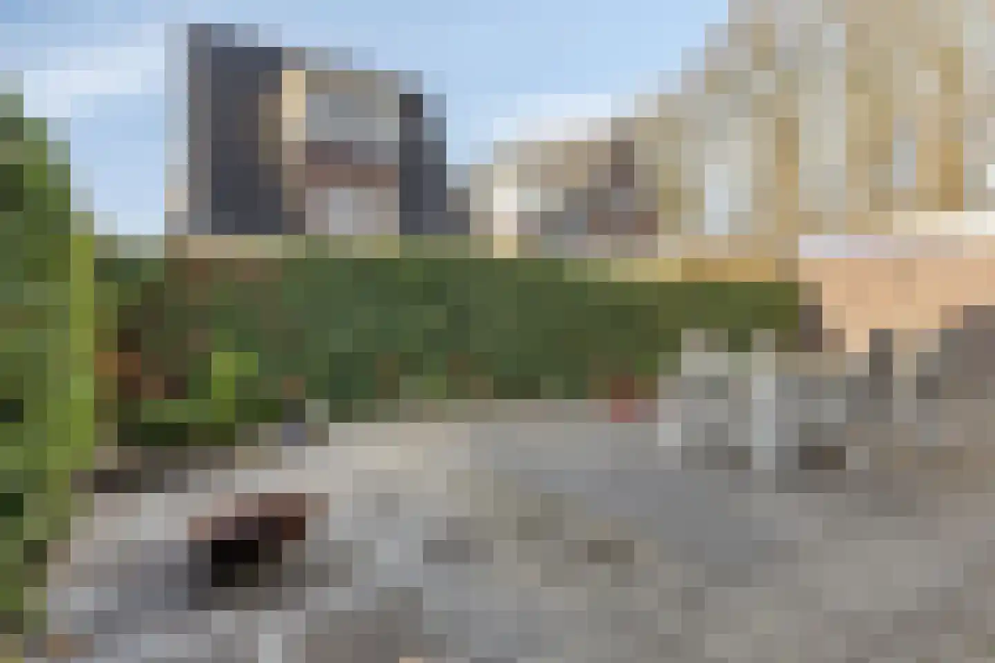 Dagpauwoog 8 Oosterhout thumbnail 18