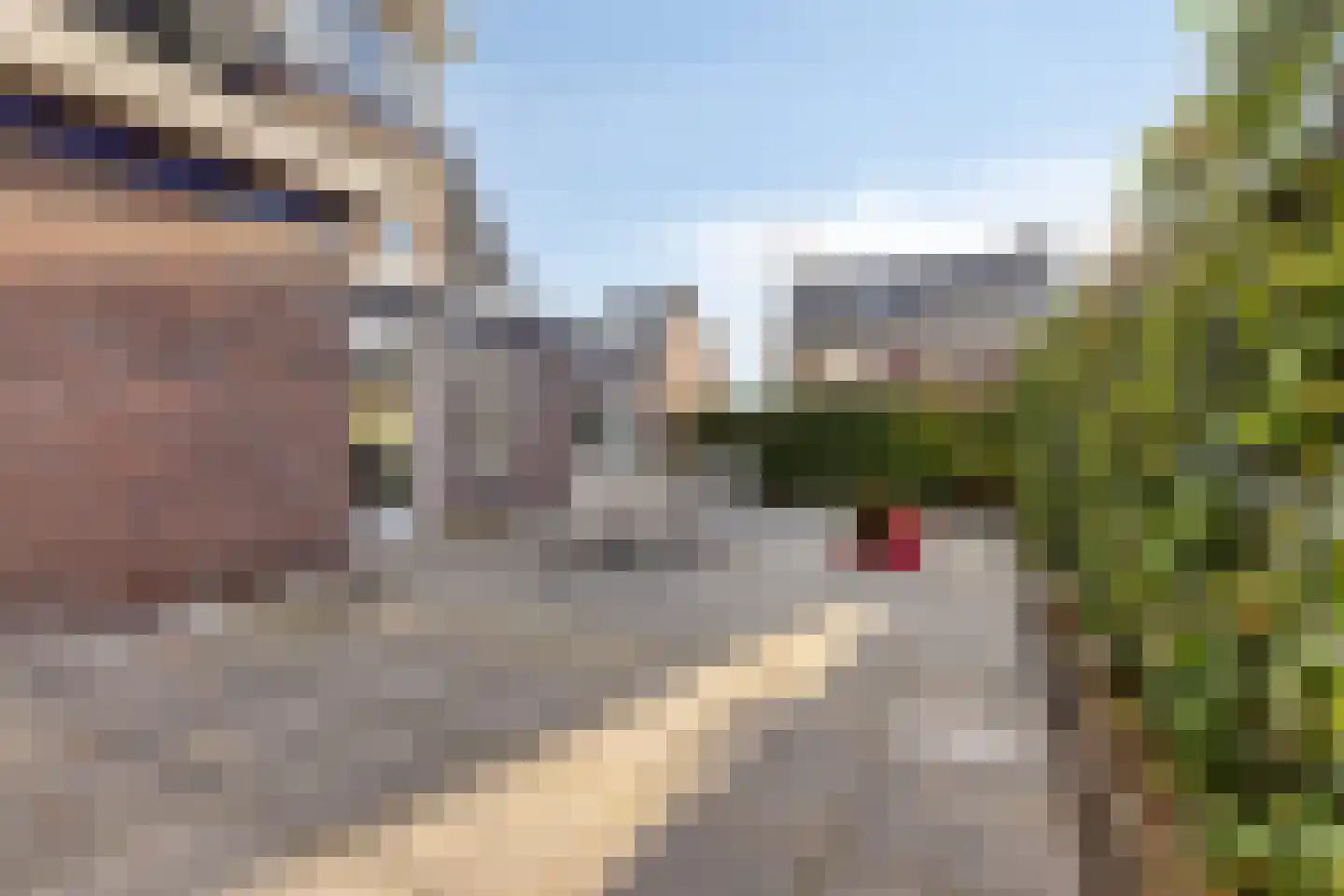 Dagpauwoog 8 Oosterhout thumbnail 19