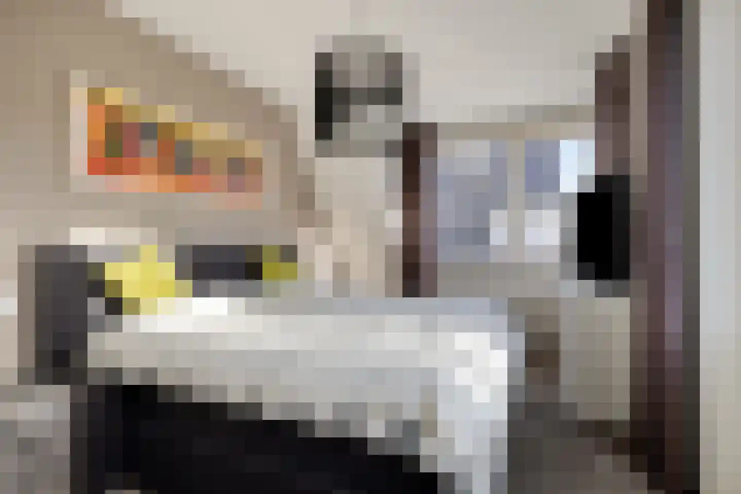 Dagpauwoog 8 Oosterhout thumbnail 23