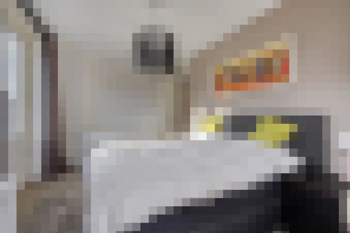 Dagpauwoog 8 Oosterhout thumbnail 24