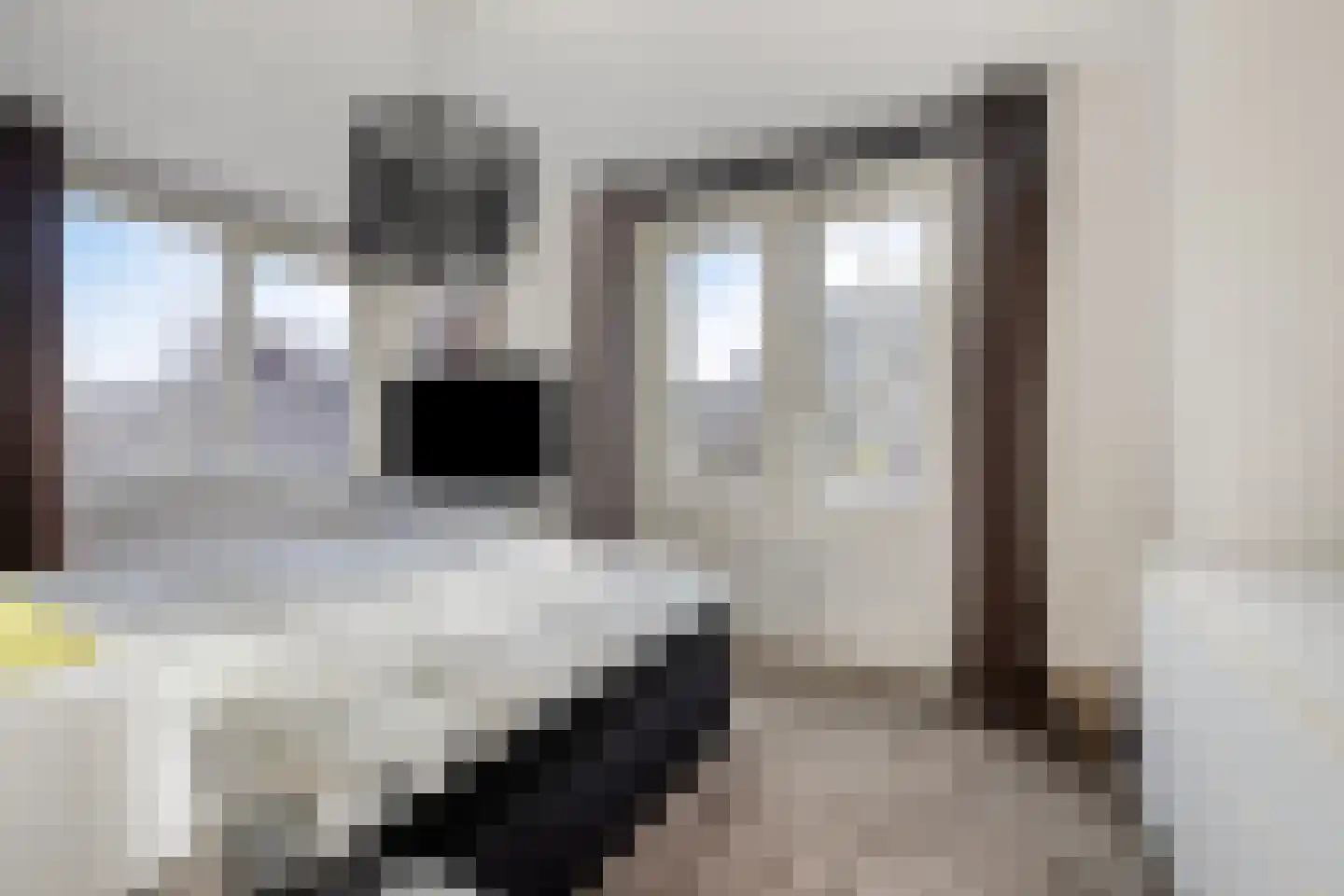 Dagpauwoog 8 Oosterhout thumbnail 25