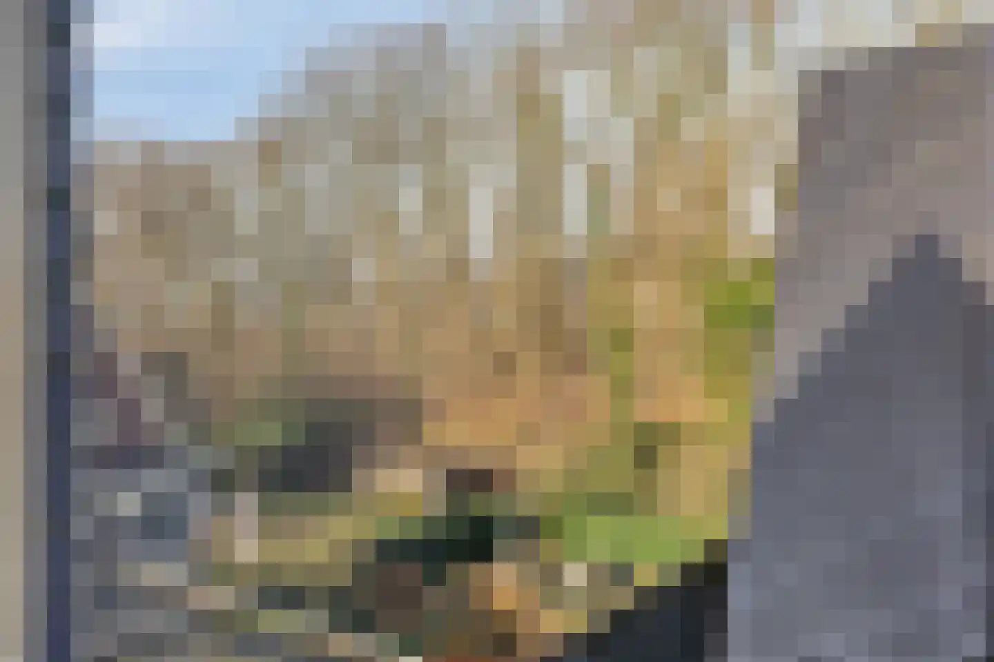 Dagpauwoog 8 Oosterhout thumbnail 36