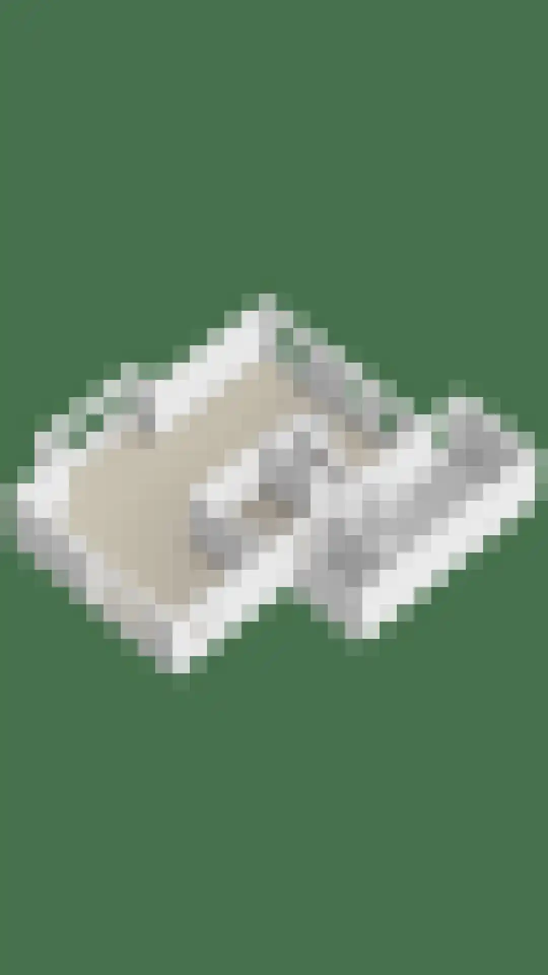 Dagpauwoog 8 Oosterhout thumbnail 46