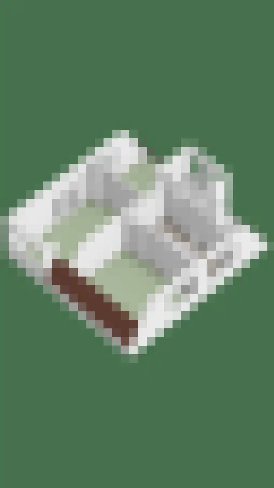 Dagpauwoog 8 Oosterhout thumbnail 47