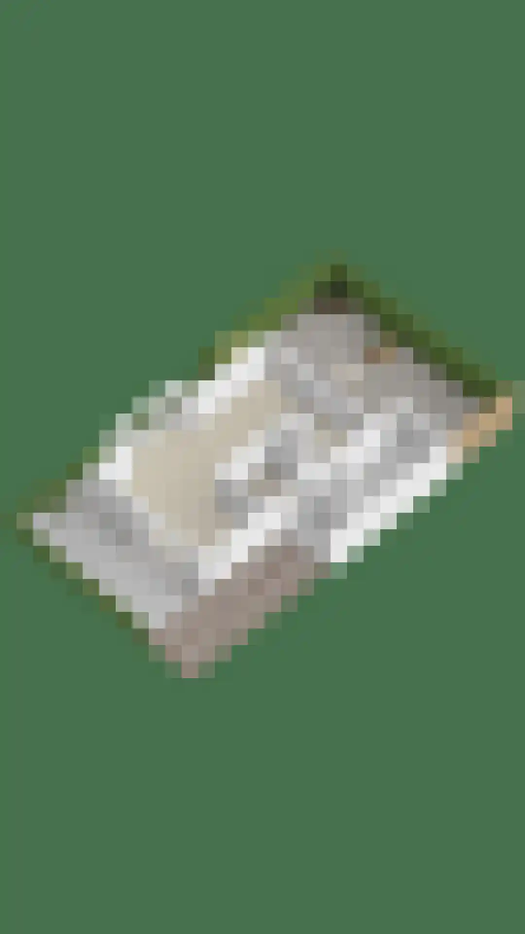 Dagpauwoog 8 Oosterhout thumbnail 49