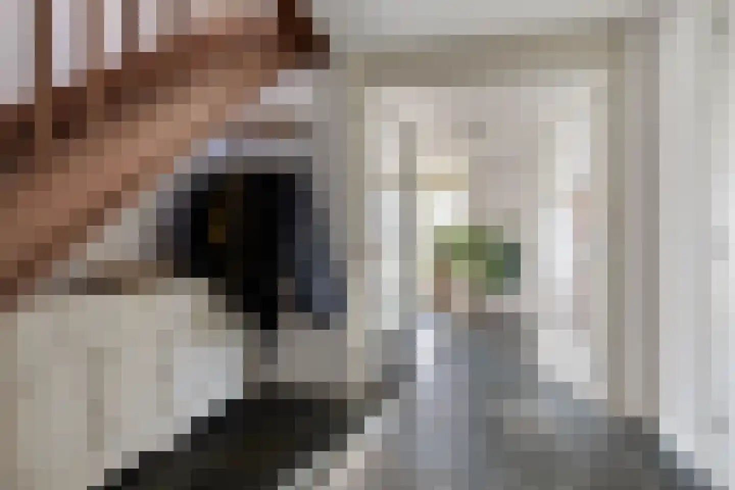 Dagpauwoog 8 Oosterhout thumbnail 8