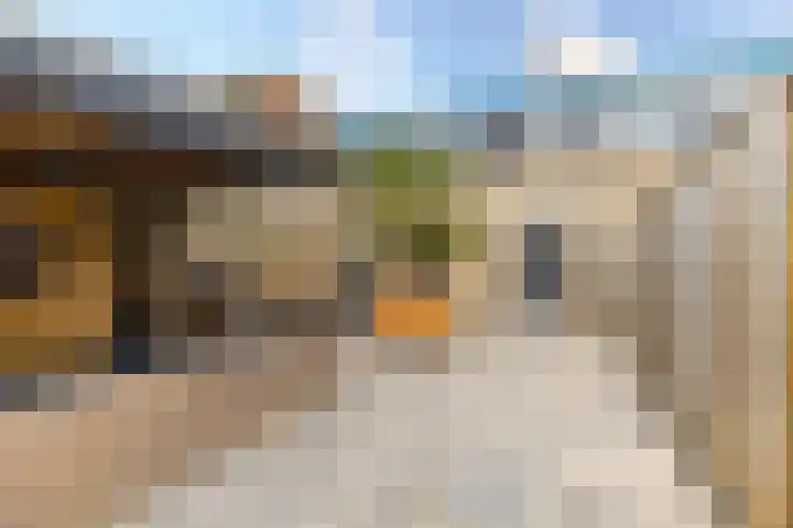 Dagpauwooghof 30 Schiedam thumbnail 21