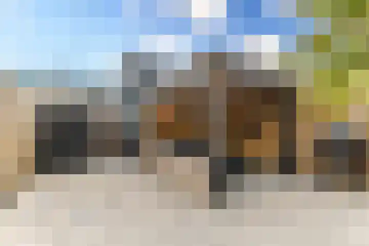 Dagpauwooghof 30 Schiedam thumbnail 24