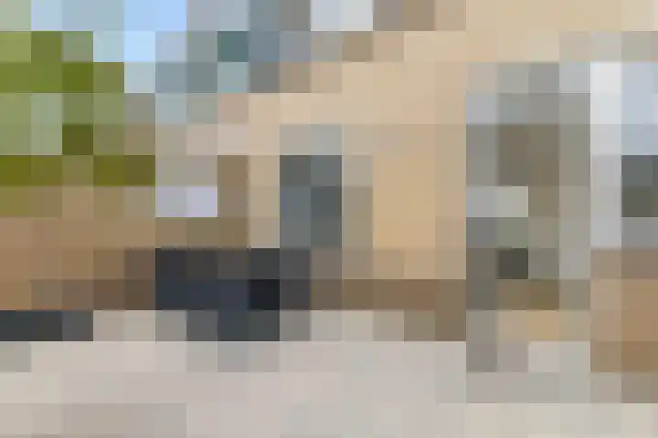 Dagpauwooghof 30 Schiedam thumbnail 27