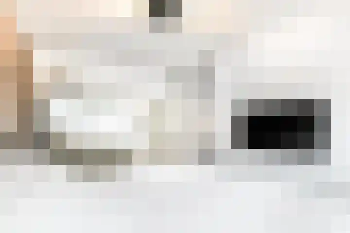 Dagpauwooghof 30 Schiedam thumbnail 30