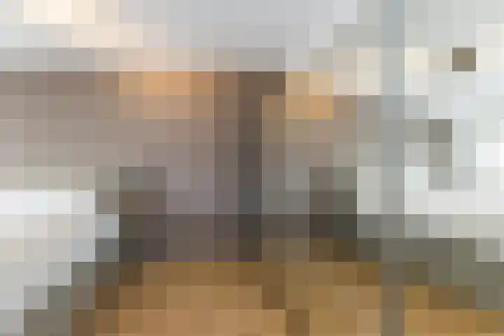 Dagpauwooghof 30 Schiedam thumbnail 31