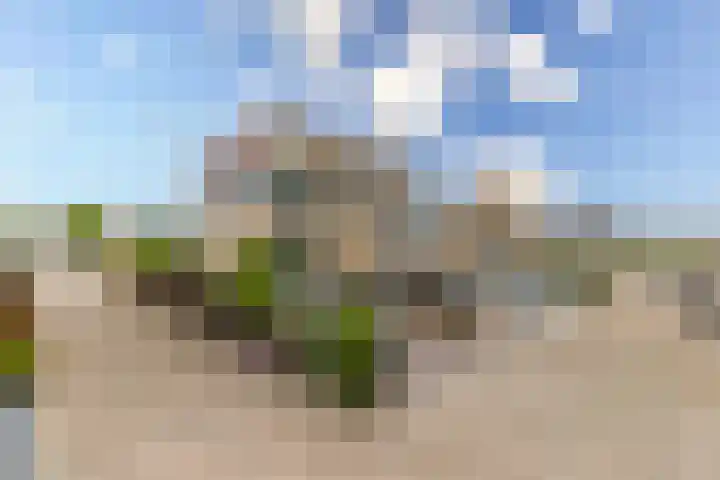 Dagpauwooghof 30 Schiedam thumbnail 39