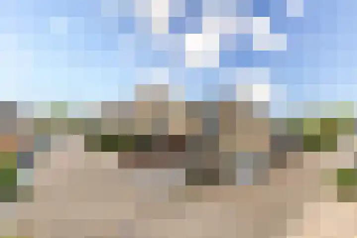 Dagpauwooghof 30 Schiedam thumbnail 40