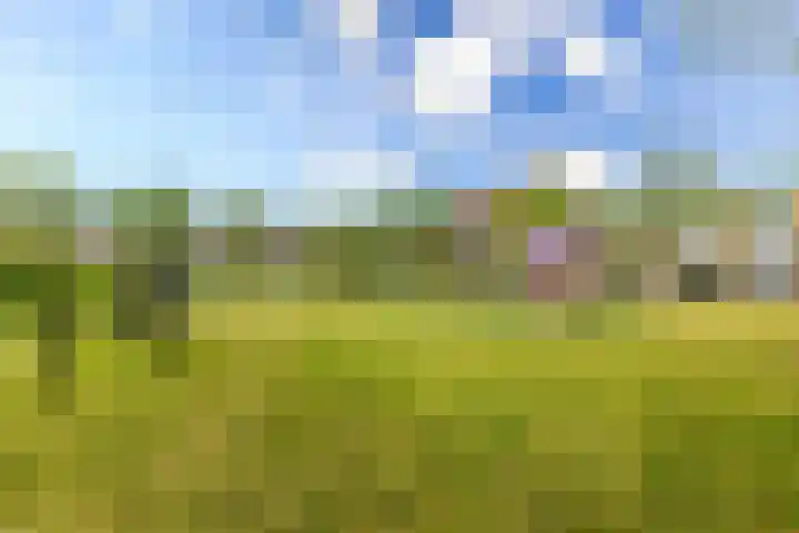 Dagpauwooghof 30 Schiedam thumbnail 41