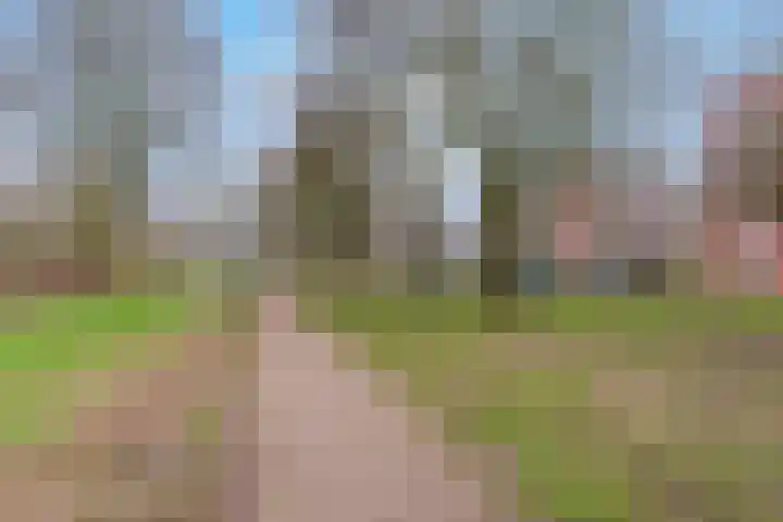 Dagpauwooglaan 108 Veenendaal thumbnail 27