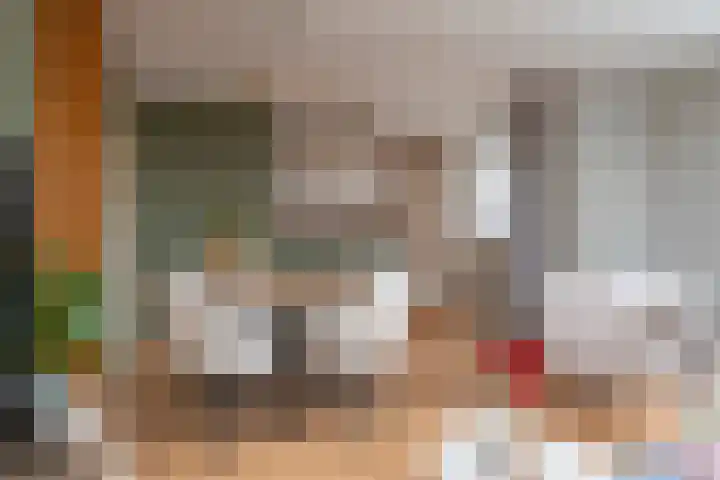 Dagpauwooglaan 108 Veenendaal thumbnail 9