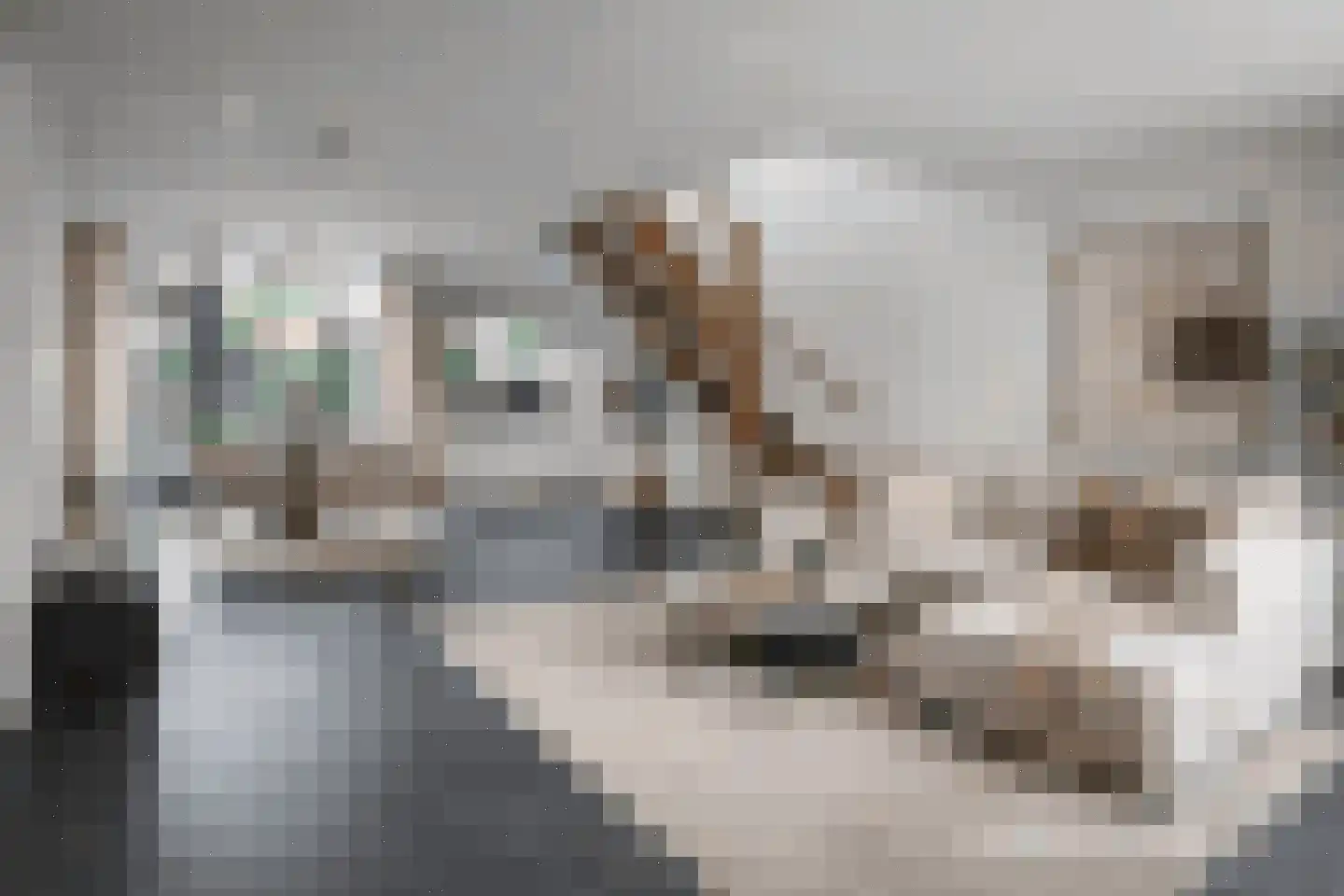 Dagpauwooglaan 15 Son en Breugel thumbnail 18