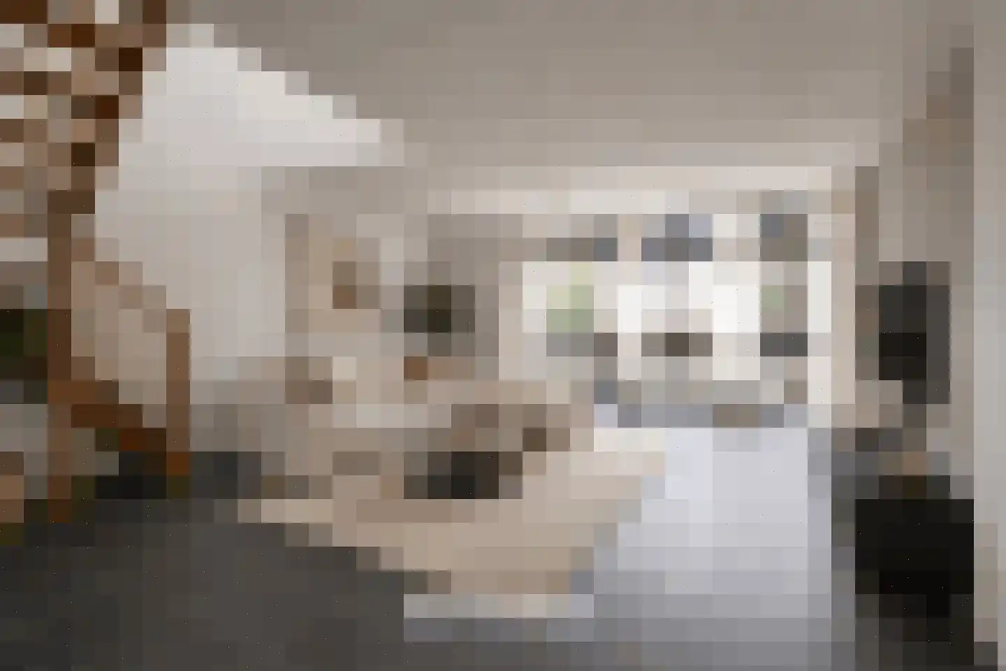 Dagpauwooglaan 15 Son en Breugel thumbnail 19
