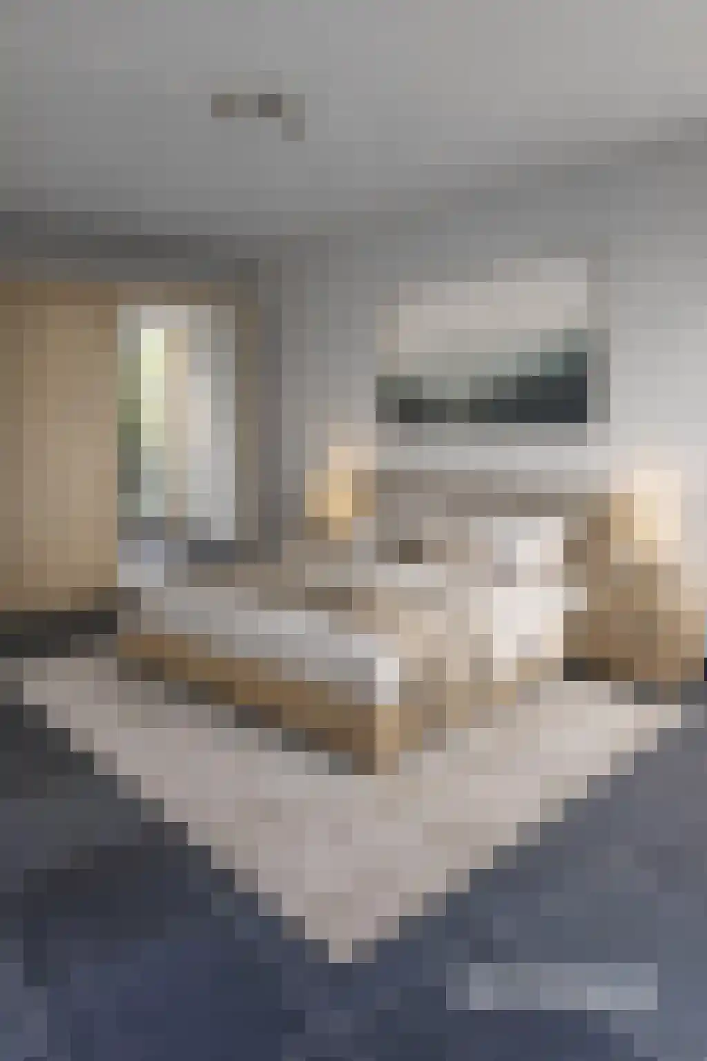 Dagpauwooglaan 15 Son en Breugel thumbnail 27