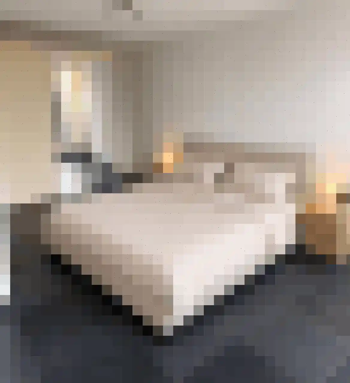 Dagpauwooglaan 15 Son en Breugel thumbnail 27