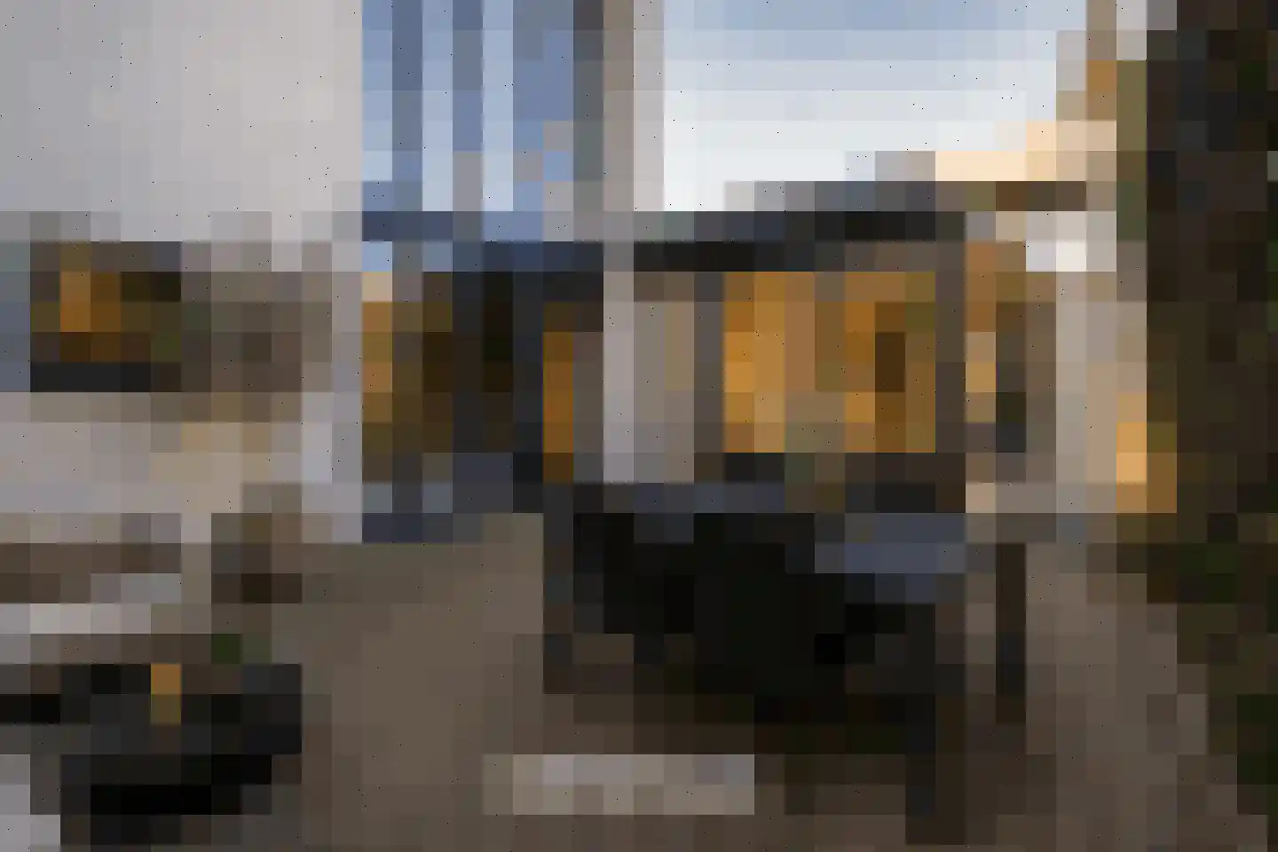 Dagpauwooglaan 15 Son en Breugel thumbnail 46