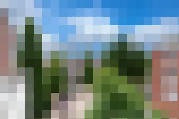 Dagpauwooglaan 32 Veenendaal thumbnail 11