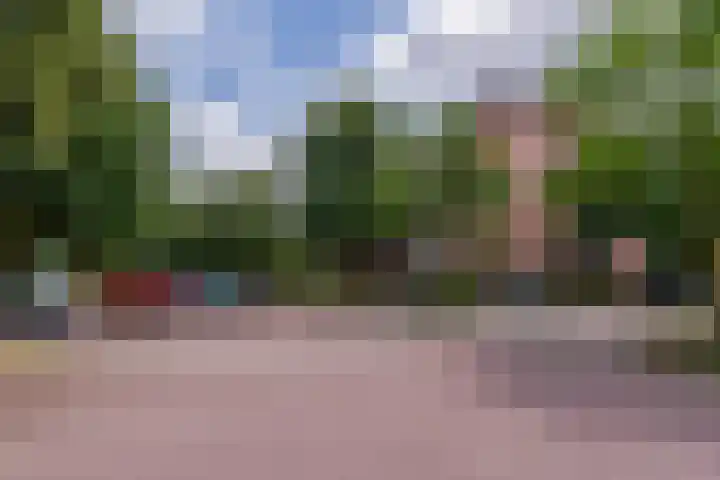 Dagpauwooglaan 32 Veenendaal thumbnail 26
