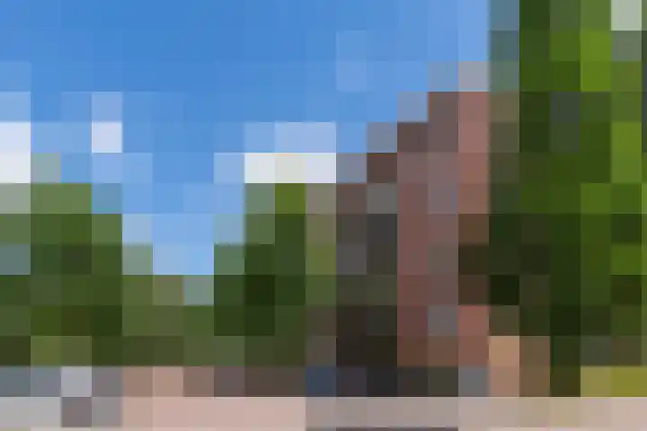 Dagpauwooglaan 32 Veenendaal thumbnail 27
