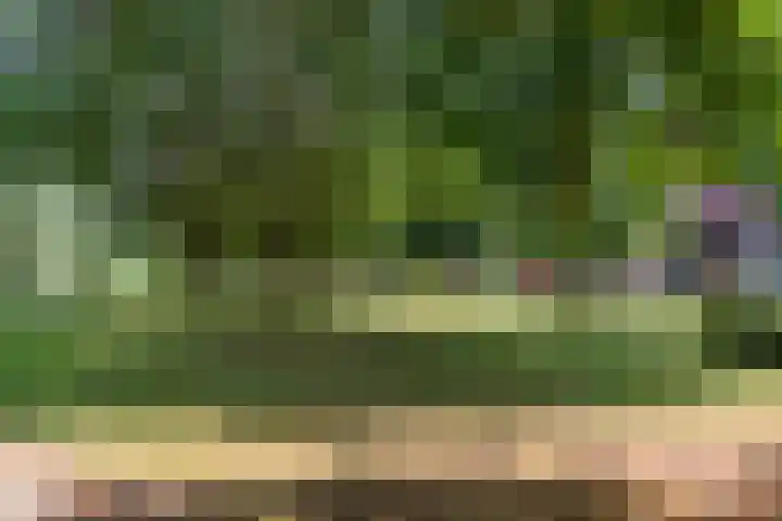 Dagpauwooglaan 32 Veenendaal thumbnail 28