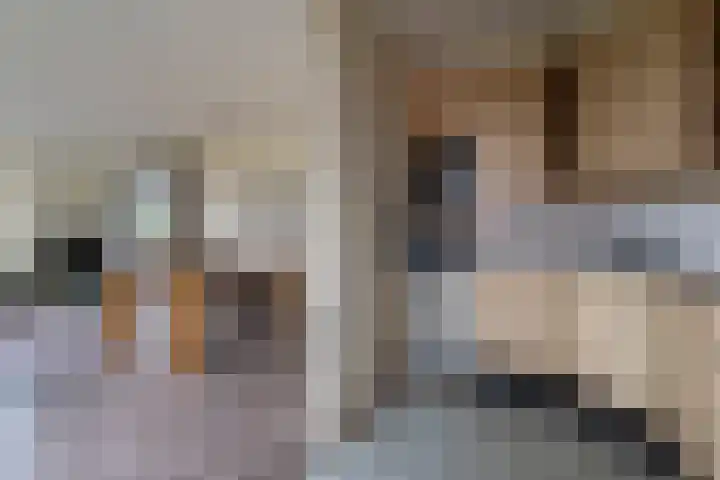 Dagpauwooglaan 32 Veenendaal thumbnail 8