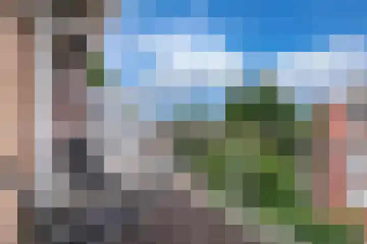 Dagpauwooglaan 32 Veenendaal thumbnail 9