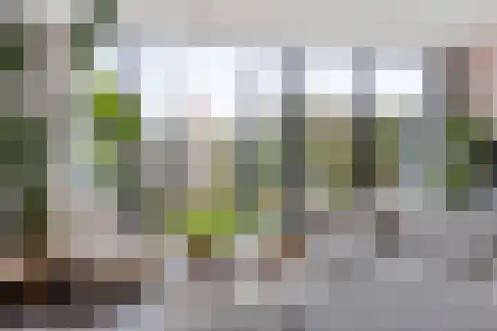 Dagpauwooglaan 5 Veenendaal thumbnail 10