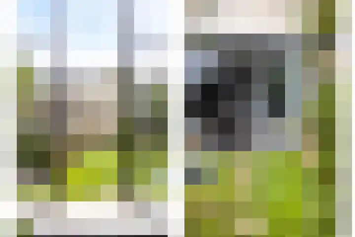 Dagpauwooglaan 5 Veenendaal thumbnail 11