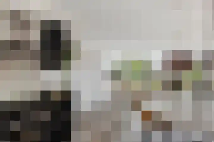Dagpauwooglaan 5 Veenendaal thumbnail 13