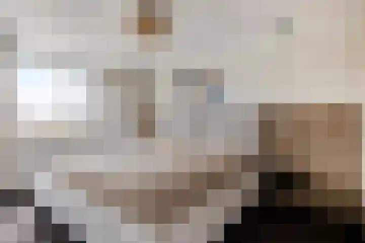 Dagpauwooglaan 5 Veenendaal thumbnail 14