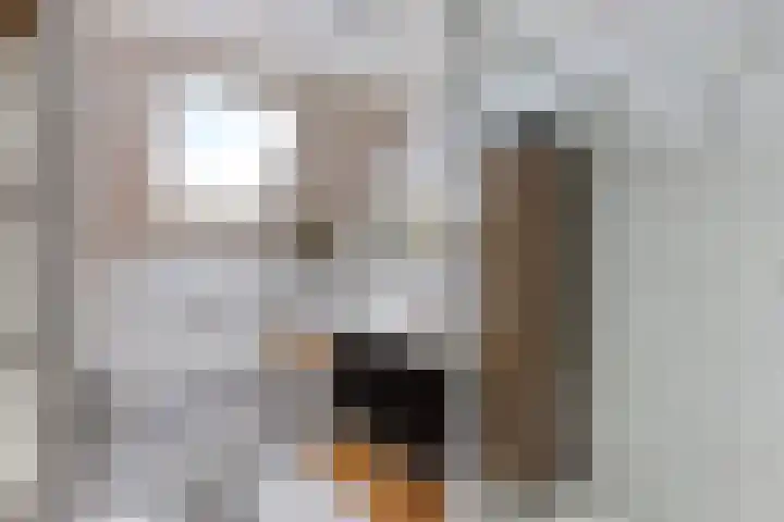 Dagpauwooglaan 5 Veenendaal thumbnail 15