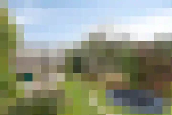 Dagpauwooglaan 5 Veenendaal thumbnail 24