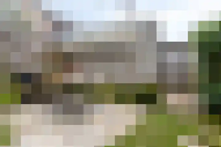 Dagpauwooglaan 5 Veenendaal thumbnail 25