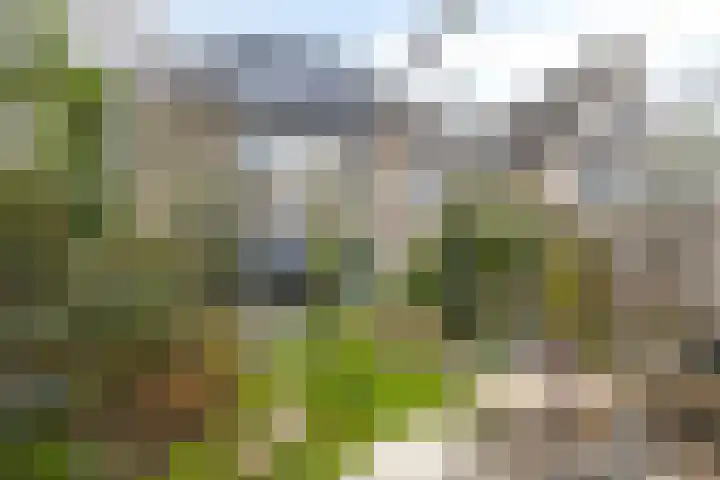 Dagpauwooglaan 5 Veenendaal thumbnail 26