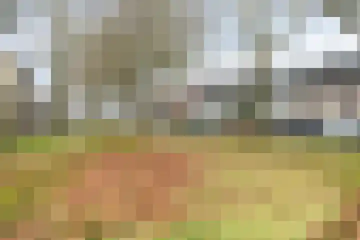 Dagpauwooglaan 5 Veenendaal thumbnail 27