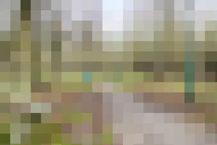 Dagpauwooglaan 5 Veenendaal thumbnail 28