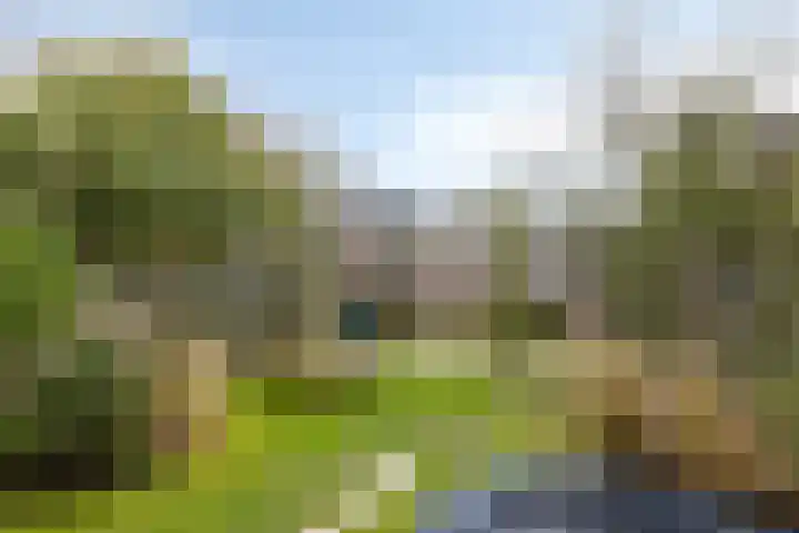 Dagpauwooglaan 5 Veenendaal thumbnail 4
